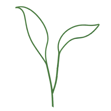 Botanic Plan, Every plant, Perfectly planned